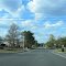 Lighthouse Drive