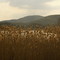 Lake Eymir