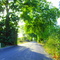 Çan yolu 1