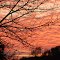 Sunset Fairfield County Ohio