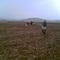 tohum ekimi