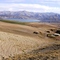 Tatvan from Nemrut Dagi