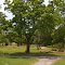 Heritage Park Arboretum, Duncan, Oklahoma