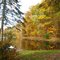 Hunterdon County Pond Foliage