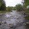 PA Creek