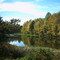 Fall colors in Erie, Pennsylvania