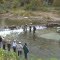Steelhead Fishing in Erie