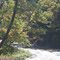 FAll in Erie Region and the Trout are on the run