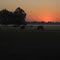 Texas Dawn