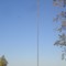 Nextel Tower On SC Hwy 110