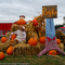 Pumpkin Patch on SC 221A
