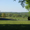 Piedmont View