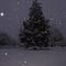 Snowy Night