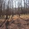 Cowpens Battlefield Trail (SC)