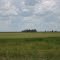 Lamb County Line