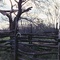 lone joe out post