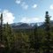 July 4 hike south of Tok