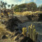 petit Nevis(cimetière de baleines)