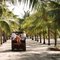 On the way to Macaroni Beach, Mustique