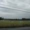 Biggest and largest Marshmallow Field in the world.