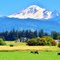 Mt Baker, view from Guide Meridian Rd, Lynden, WA