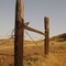 An Old Fence on Silver Peak