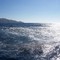Catalina Island, California