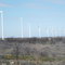 Windfarm Abilene - Albany Texas
