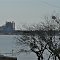Looking across the lake