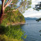 Inlet on East Sound. Orcas Island