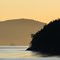 Eagle and Loons watch the early morning ferry navigate through the San Juan Islands, December, 2009