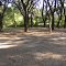 Treadway Park