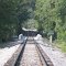 Tree tunnel Tennessee Southern Railroad