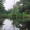 Pond