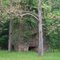 Bloomery Iron Furnace, Route 127, Bloomery, WV