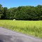 Timber Ridge / Timber Mountain Road, Loom, WV