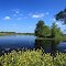 Reflection pond