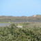 Boca Chica Crossing Railroad - 1864