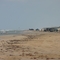 Brazos Island State Park, Texas  (June 2006)