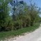 LBJ 63 4/16/2011 Windmill