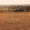 Farm at Sunset