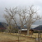 House in Totsoh South, Lukachukai, Navajo Reservation, Arizona 11-2003