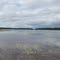 Mud Brook