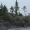 Chamberlain Lake- The Ledges Campsite