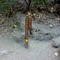 Fork in the trail marker. The famous falls to the right