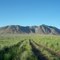 Nearing the Big Butte