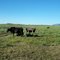 The Road to Great Southern Butte