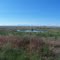Waterhole
