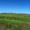 Once Bison Lived Here