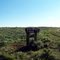 Near a Secluded Airstrip